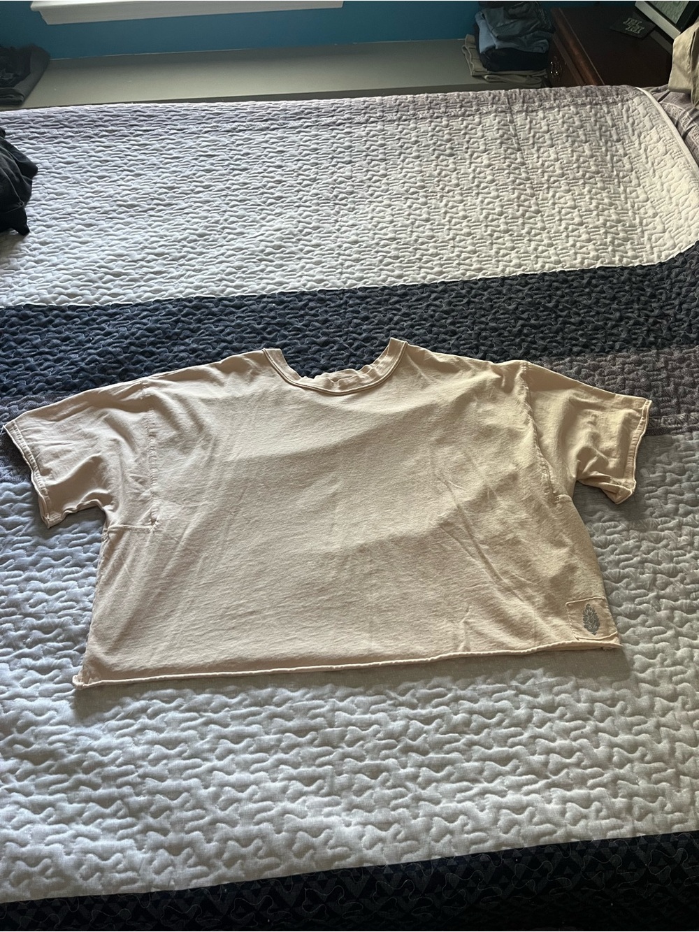 FP Movement by Free People Cropped Boxy Tee in Beige